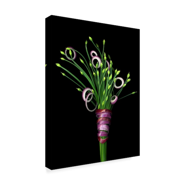 Susan S. Barmon 'Chive Blossoms And Red Onion' Canvas Art,24x32